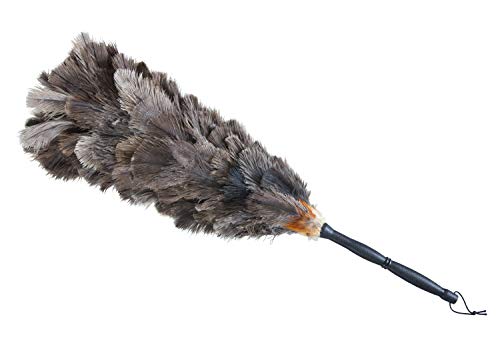 車用の毛ばたきをご紹介 傷をつけない上手な使い方とおすすめの選び方 ナリユブログ