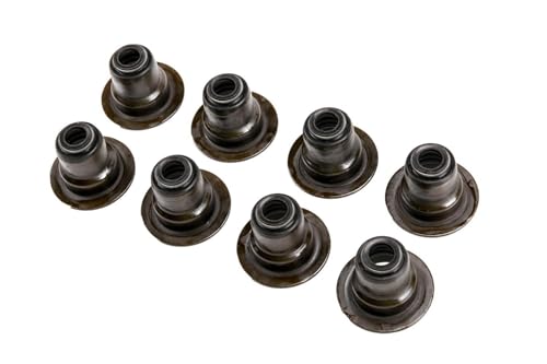 GM Genuine Parts 12482063 Engine Intake Valve Stem Oil Seal Kit