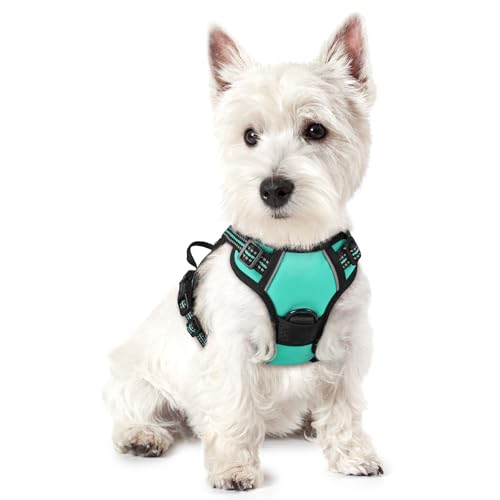 Image of rabbitgoo Dog Harness No Pull with 2 Leash Clips, Adjustable Soft Padded, Reflective Oxford No Choke Pet Vest with Easy Control Handle for Puppy, Turquoise, XS