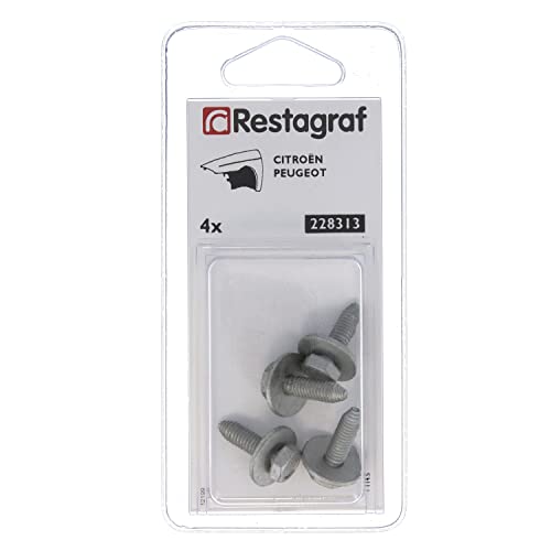 Restagraf 228313 Schraubenkopf