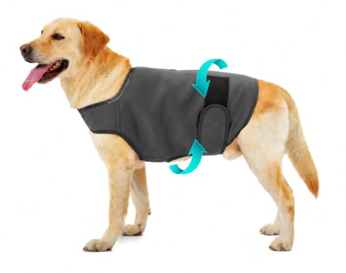 Dog Anxiety Jacket, Calming Jacket – Skin-Friendly Anti-Anxiety Vest for Thunder, Fireworks, Vet Visits and Separation – Helps Keep Dogs Relaxed Without Medicine or Complex Training(Dark Gray,XS)