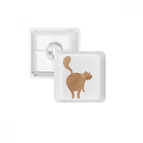 Porte-clés PBT pour clavier mécanique touches blanches vierges OEM MX