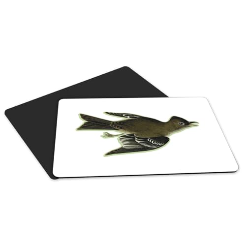 Sets de table oiseau planche botanique Sayornis caoutchouc grand format - 5