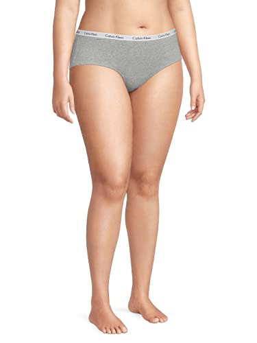 Calvin Klein Women`s Plus Size Carousel Modern Hipster Panties 3 Pack (B(Qp2918-620)/R, 2X) #TOP1