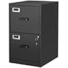 BYNSOE 2 Drawer File Cabinet with Lock Vertical Filing Storage Cabinet Office Home Steel Vertical File Cabinets for Letter Size File Cabinet Locked,Assembly Required