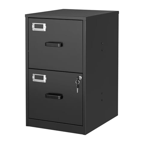 BYNSOE 2 Drawer File Cabinet with Lock Vertical Filing Storage Cabinet Office Home Steel Vertical File Cabinets for Letter Size File Cabinet Locked,Assembly Required Cover