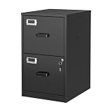 BYNSOE 2 Drawer File Cabinet with Lock Vertical Filing Storage Cabinet Office Home Steel Vertical File Cabinets for Letter Size File Cabinet Locked,Assembly Required