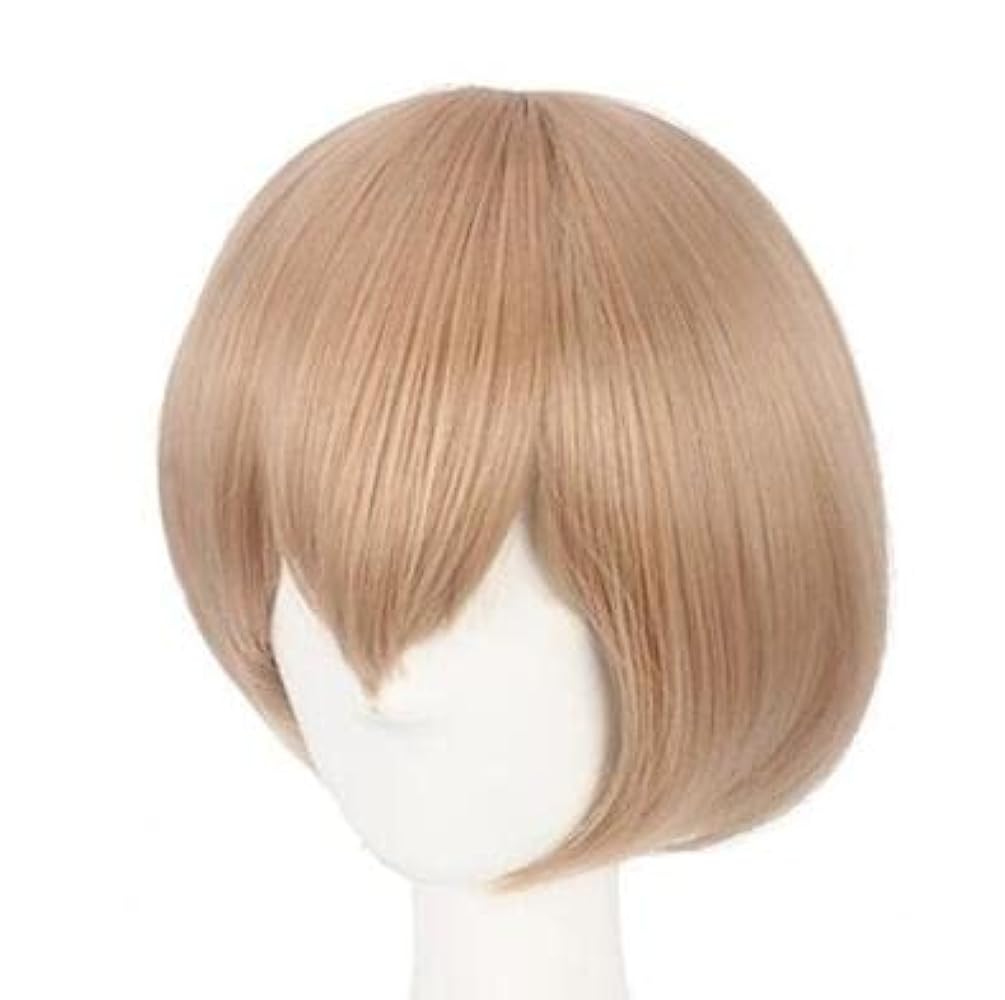 雨　ウィッグ&耳と尻尾 Amazon.co.jp: 弦月藤士郎 コスプレウィッグ かつら ストレート