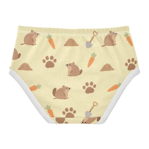 Girls' Underwear Marmot Carrot Toddle Brief Panties 2-8 Years 203007552