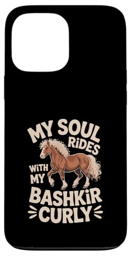 }CE\EECYEEBYE}CEoVL[EJ[[ X}zP[X iPhone 13 Pro Max p