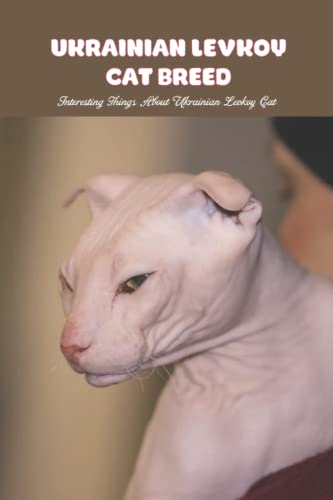 Ukrainian Levkoy Cat Breed: Interesting Things About Ukrainian Levkoy Cat: