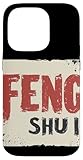 Feng Shui