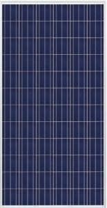 Trina TrinaSmart 300W Poly SLV/WHT Solar Panel TSM-300PD14.002 - Pack of 4