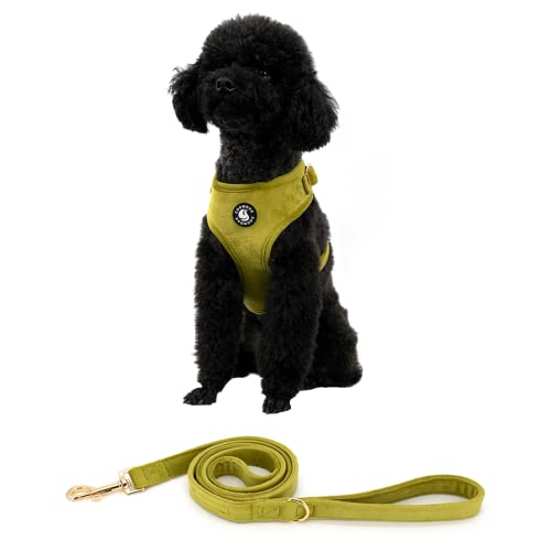 No Pull Dog Harness Soft Velvet Padded Puppy Dogs Cats Vest Adjustable Small Medium Large Dog Harness And Leash Set Dog Accessories For Training Easy Walk #TOP5