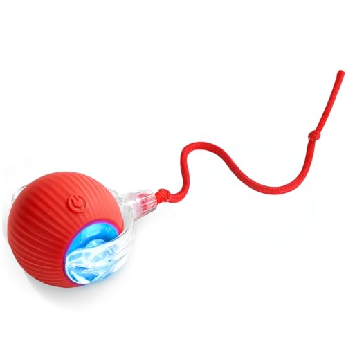 pets kitten toys