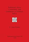 Prehistoric Maya Community and Settlement atNohmul, Belize (BAR International)