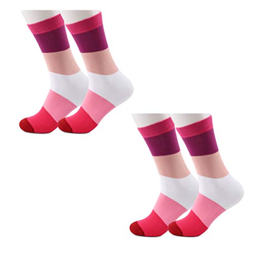JXGZSO 2 Pairs Lesbian Socks Lesbian Pride Flag Socks Gay Pride Tube Socks Lesbian Gift LGBTQ Pride Girlfriend Gifts (Lesbian Socks)