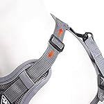 cat Chest Harness and Leash, Anti-Escape Adjustable Soft mesh cat Leash and Chest Harness Set for All Types of Cats cat Vests (Grey, 16.5-22.04lb) - Image 5