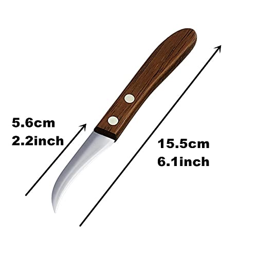 Htiam 4 Pieces Kitchen Vegetable Diy Carving Knives Professional Chef Knife Sharp Well Food Fruit Paring Knife #TOP4