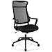 Amazon.com: Realspace® Lenzer Mesh High-Back Task Chair, Black, BIFMA ...