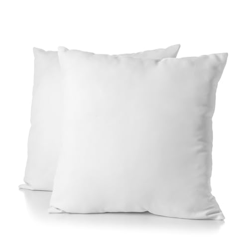 Blanrêve - Lot de 2 Oreillers Coton Bio - Esthétique - Confort Ferme - 60 x 60 cm - Fabriqué en France