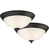 DESIGNERS FOUNTAIN Flush Mount Ceiling Light, 2-Pack, 11 Inch LED Frosted Glass Lighting Fixture ...