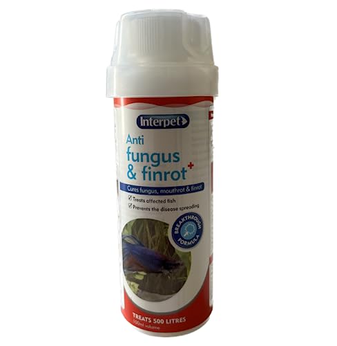 Interpet Anti Fungus and Finrot Aquarium Fish Treatment 100 ml