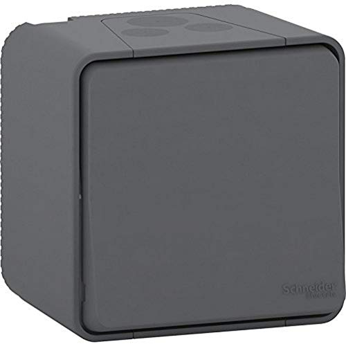 Schneider Electric MUR35026 Bouton Poussoir Styl mureva, 250 V, Gris