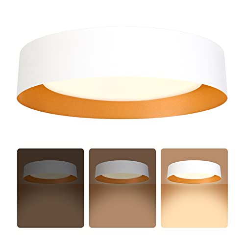 Image of Bargeni 16.5 inch Flush Mount Ceiling Light,White with Gold Interior