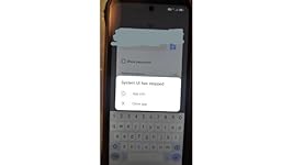 Review Image by Tracey C. Tracey C.