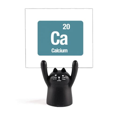 Support de mémo scientifique chat noir en calcium : ne perdez plus jamais vos notes importantes