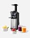 Panasonic MJ-L500S Slow Juicer / Entsafter / 2 Einsätze für Säfte & tiefgefrorene Zutaten / Frozen Joghurt / Silber