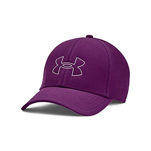 Image of Under Armour Men's Storm Driver