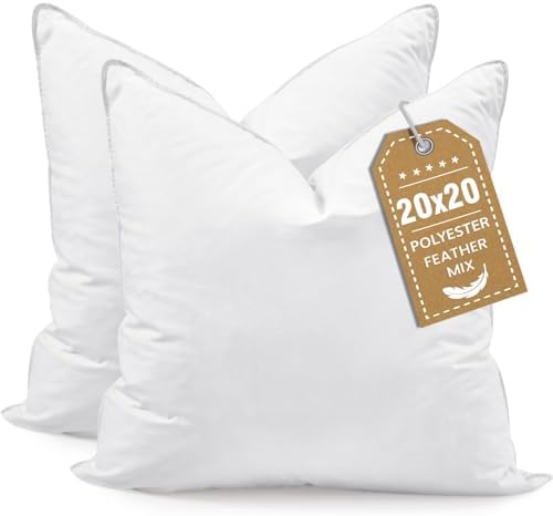 BHZ Throw Pillows 20x20 Euro Pillow Inserts Set of 2, Down Feathe...