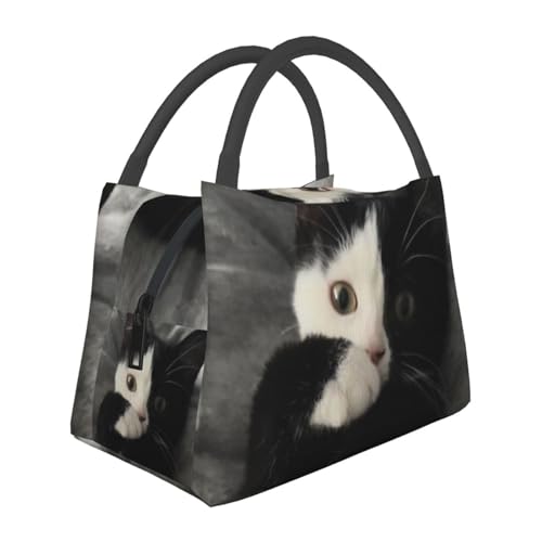 �L��14 �����`�o�b�O �ٓ��� ��e�� �y�� �ۗ� �ۉ� ���� �ʋ� �ʊw �܂肽���� ��l�p �j���p �����p �q���p