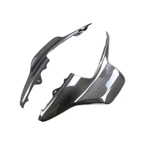 Panneaux latéraux de siège passager arrière Sportster S carbone RH1250