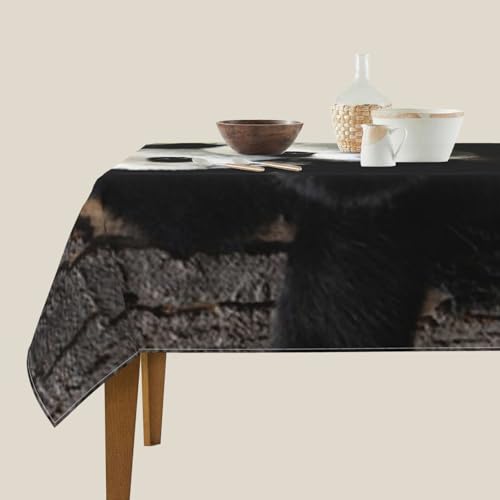 Nappe carrée panda 152x152 cm imperméable pour table à manger - 3