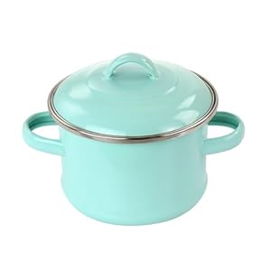 Martha Stewart Steel 0.25 Qt Mini Dutch Oven, Turquoise (129155.02) Martha Stewart Steel 025 Qt Mini Dutch Oven Turquoise 12915502