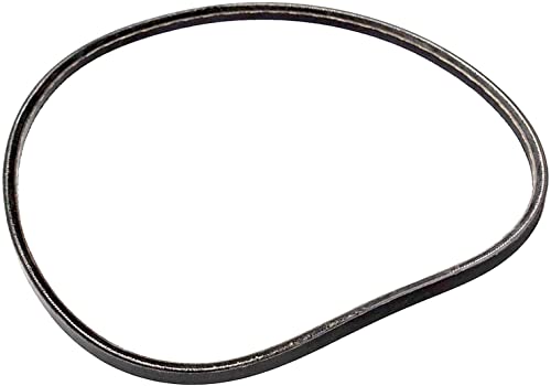 Drive V-Belt Isolated