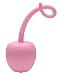 Frisky Pig Tail Silicone Anal Plug