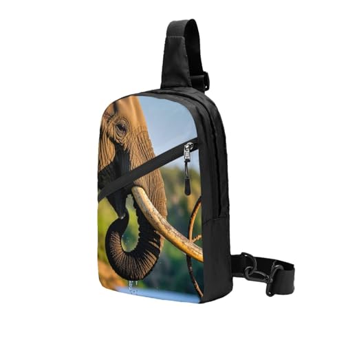 African Elephant Print Men's and Women's Foldable Crossbody Bag,Sports Crossbody Bags,and Daily Chest Bags2