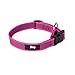 JULIUS K-9 220CG-PN Color & Gray Halsband, 20mm*27-42 cm, verstellbar, pink-grau, 20 mm (27-42 cm)
