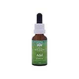 Australian Bush Flower Essences