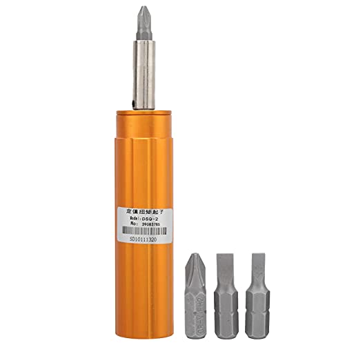 TOOLSGO Preset Torsion Screwdriver High Accuracy Adjustable Automatic Slipping Wrench with Alarm DSQ?2 for Auto Maintenance and Repair