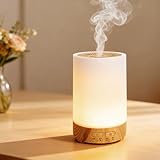 【2025発売新モデル・一台多役】加湿器 卓上 小型 静音 Type-C充電式 次亜塩素酸水対応 除菌 超音波式 卓上 アロマ対応 LEDライト7色 お手入れ簡単 省エネ 空焚き防止 乾燥対策 オフィス/デスク/寝室/部屋/リビング/家庭/車用 お手入れ簡単 6-8畳対応