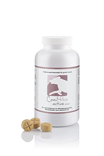 CaniMove Arthrose (Osteoarthritis) - Bundle: je 100 Tabletten Motion Maxi Plus Active Maxi