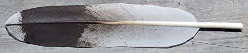 Imitation Rough-Leg Hawk Feather