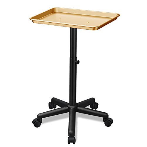 Chetunju TY01 Goldenes Salon-Tablett Friseursalonwagen