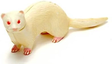 Amazon 食玩 チョコエッグ ペット動物 第1弾 P12 フェレット アルピノ 通販