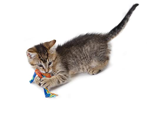 Petstages Catnip Dental Health Chews - Zahnpflege-Kauspielzeug für Katzen - Katzenminze - Mehrfarbig - 2 Stück